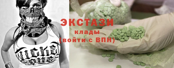 гашик Ветлуга