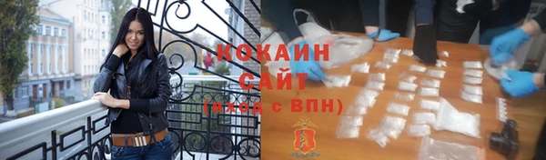 гашик Ветлуга