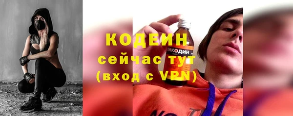 гашик Ветлуга