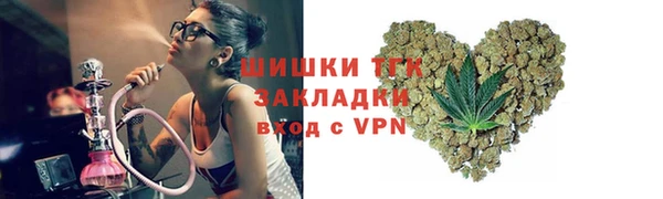 гашик Ветлуга