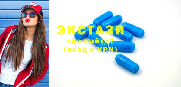 гашик Ветлуга