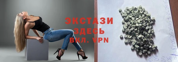 гашик Ветлуга