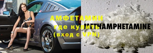 индика Нягань