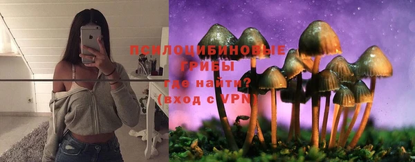 гашик Ветлуга