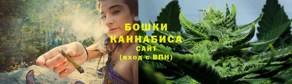 гашик Ветлуга